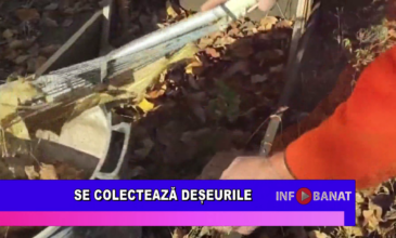 Se colectează deșeurile