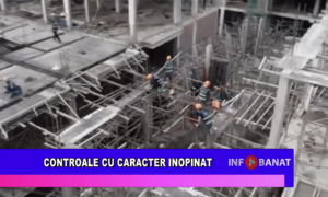 Controale cu caracter inopinat