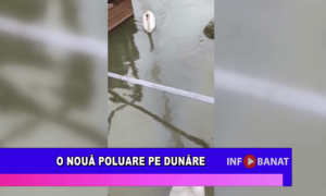 O nouă poluare pe Dunăre