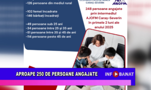 Aproape 250 de persoane angajate