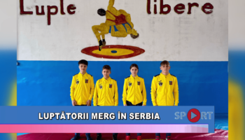 Luptătorii merg în Serbia