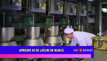 Aproape 90 de locuri de muncă