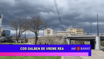 Cod galben de vreme rea
