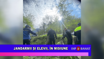 Jandarmii și elevii, în misiune