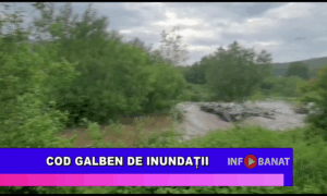 Cod galben de inundații