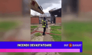 Incendii devastatoare