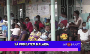 Să combatem malaria