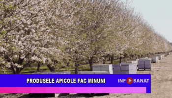 Produsele apicole fac minuni