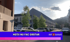 Hoții nu fac grătar