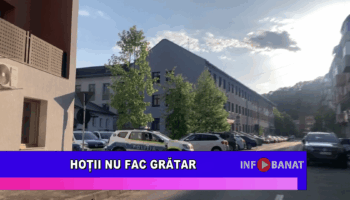 Hoții nu fac grătar