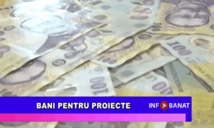 Bani pentru proiecte