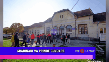 Grădinari va prinde culoare