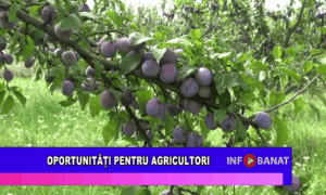 Oportunități pentru agricultori