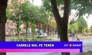 Cadrele MAI, pe teren