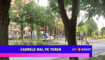 Cadrele MAI, pe teren