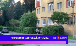 Propaganda electorală, interzisă