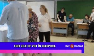 Trei zile de vot în diaspora
