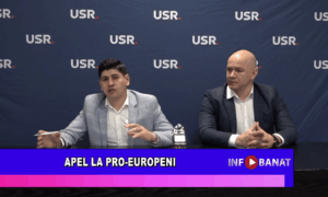 Apel la pro-europeni