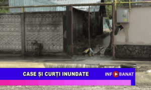 Case și curți inundate