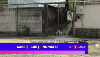 Case și curți inundate