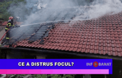 Ce a distrus focul?