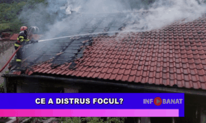 Ce a distrus focul?