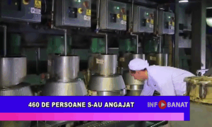 460 de persoane s-au angajat