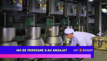 460 de persoane s-au angajat