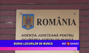 Bursa locurilor de muncă