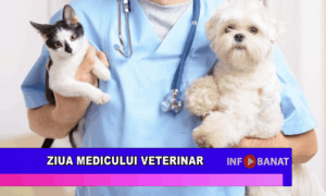 Ziua Medicului Veterinar