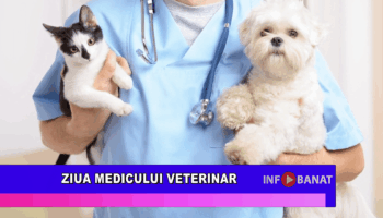 Ziua Medicului Veterinar