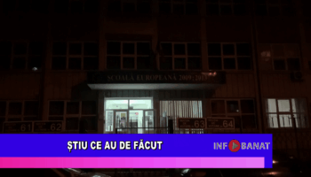 Știu ce au de făcut