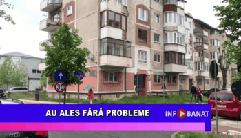 Au ales fără probleme
