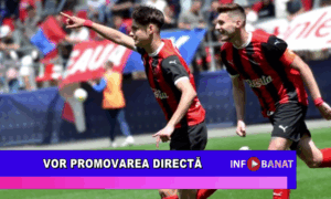 Vor promovarea directă