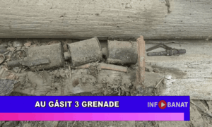 Au găsit 3 grenade