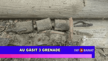 Au găsit 3 grenade