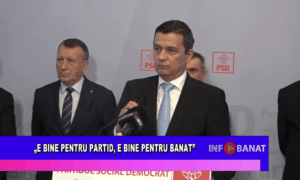 „E bine pentru partid, e bine pentru Banat”