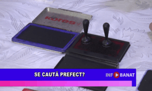 Se caută prefect?