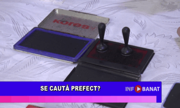 Se caută prefect?