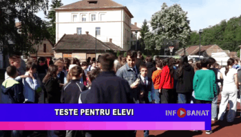 Teste pentru elevi