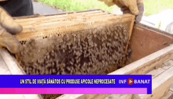 Un stil de viață sănătos cu produse apicole neprocesate