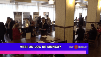 Vrei un loc de muncă?