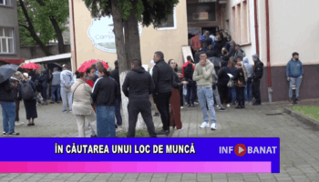 În căutarea unui loc de muncă