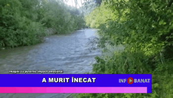 A murit înecat