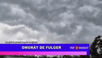 Omorât de fulger