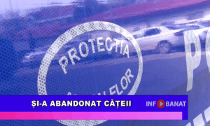 Și-a abandonat cățeii