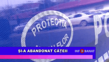 Și-a abandonat cățeii
