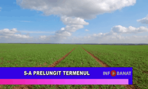 S-a prelungit termenul