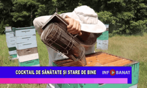Cocktail de sănătate şi stare de bine