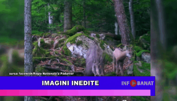 Imagini inedite